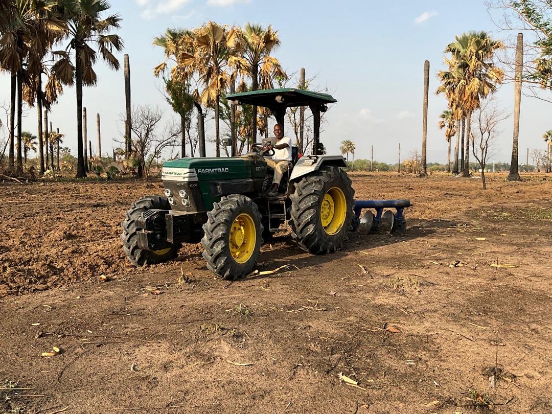 Aperçu de la vidéo de présentation GGF AGRO — champs maraîchers de Kindia
